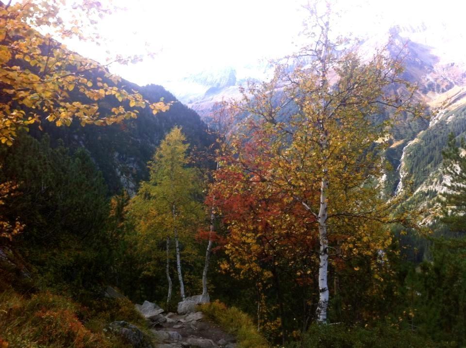 Ferienwohnungen Sonklar Fulpmes Bagian luar foto